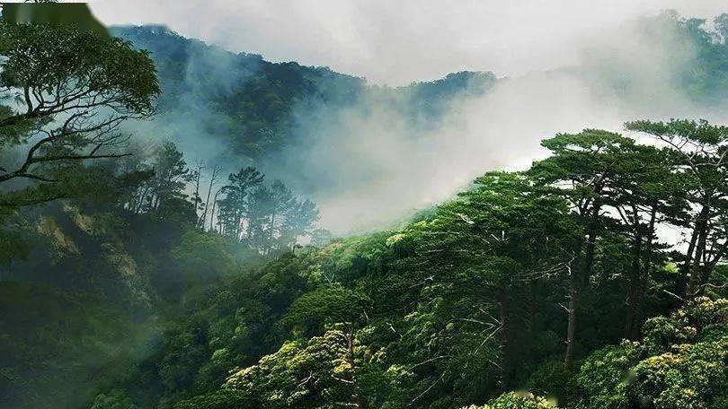 全国铁路春运预计发送旅客四点八亿人次