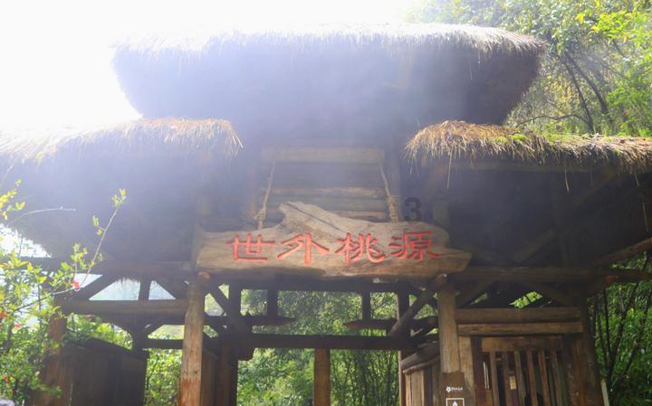 救援深海动物