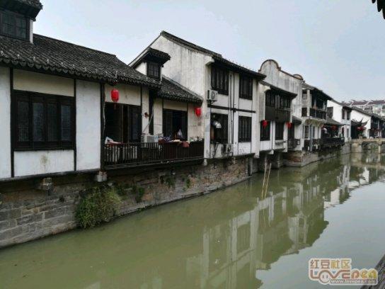 《木筏求生》加固船体鲨鱼啃咬情况介绍