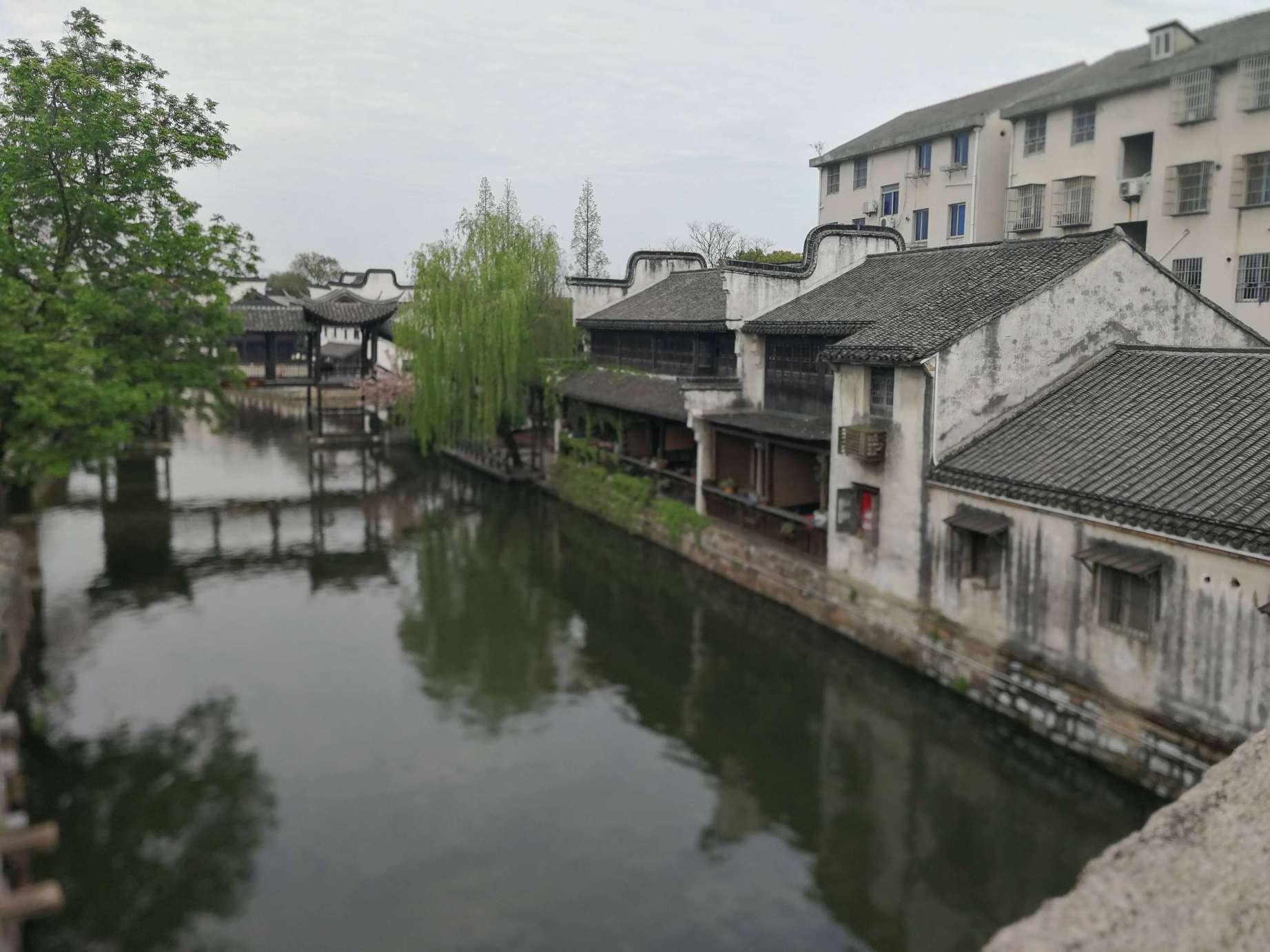 逃离棕榈树森林