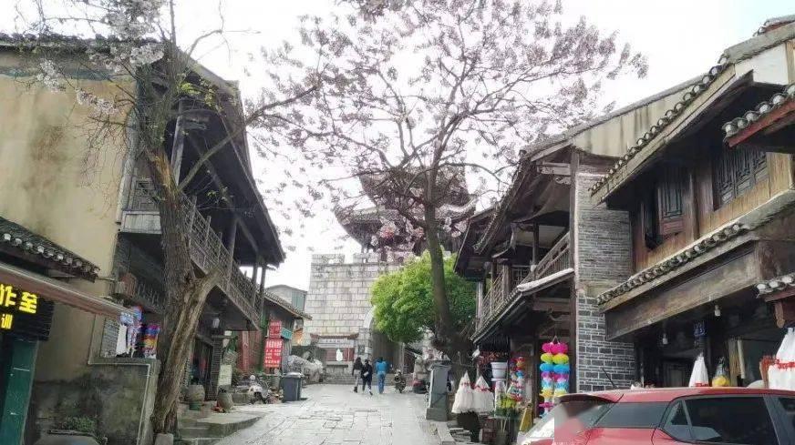 完美的收藏品